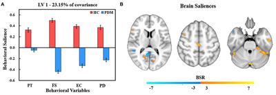 Association Between Trait Empathy and Resting Brain Activity in Women With Primary Dysmenorrhea During the Pain and Pain-Free Phases